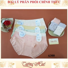 Quần lót nữ Aomeijiao 6300 cotton chữ freesize MÀU NGẪU NHIÊN.