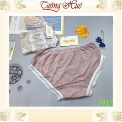 Quần Lót Nữ NAYIPAI 1937 Lưới Ren Hai Nơ FreeSize