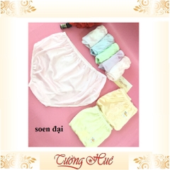 Quần lót nữ So-en đại quần lót thêu hoa màu big size nguyên mông MÀU NGẪU NHIÊN.