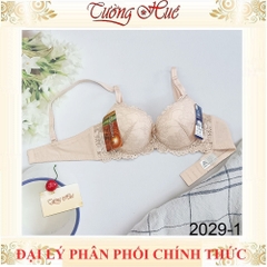 Áo Lót Nữ Đài Loan Aseity 2029 Ren Mút Dày 3cm Có Gọng Đệm Mút Than Hoạt Tính