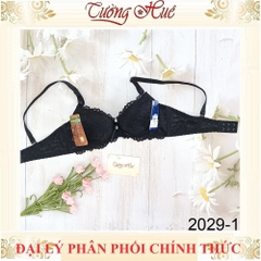 Áo Lót Nữ Đài Loan Aseity 2029 Ren Mút Dày 3cm Có Gọng Đệm Mút Than Hoạt Tính