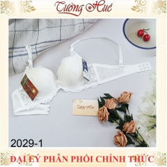 Áo Lót Nữ Đài Loan Aseity 2029 Ren Mút Dày 3cm Có Gọng Đệm Mút Than Hoạt Tính