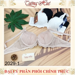 Áo Lót Nữ Đài Loan Aseity 2029 Ren Mút Dày 3cm Có Gọng Đệm Mút Than Hoạt Tính