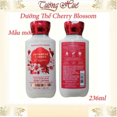 Tắm Dưỡng Xịt Thơm Bath & Body Works Japanese Cherry Blossom (Có Lựa Chọn)