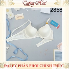 Áo Lót Nữ Thái Lan Jintana JB2858 Có Gọng Trơn Mút Mỏng 2 Móc Cài.