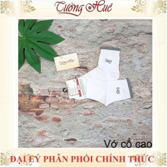 Tất/Vớ Nam Cosy Cổ Cao Màu Đơn Giản ( chọn màu NN ).