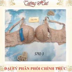 Áo lót nữ Đài Loan Iway 5792-3 Áo lót mút mỏng có gọng phối ren lưng bản to 3 móc cài.