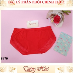Quần lót nữ Lian Xia 8470 trơn phối lưới chữ freesize MÀU NGẪU NHIÊN.