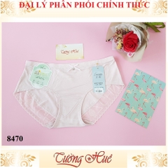 Quần lót nữ Lian Xia 8470 trơn phối lưới chữ freesize MÀU NGẪU NHIÊN.