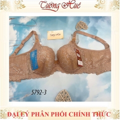 Áo lót nữ Đài Loan Iway 5792-3 Áo lót mút mỏng có gọng phối ren lưng bản to 3 móc cài.