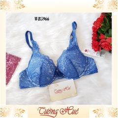 SALE SALE SALE - Áo lót nữ Wacoal WB 5966 ren hoa xẻ V sâu.