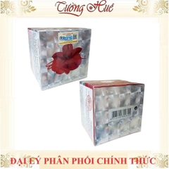 Kem ENYA Dưỡng Trắng Da Excellent Whitening Day & Night Cream - 20g (Enya Lan đỏ)