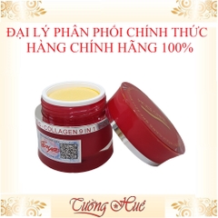 Kem Holy Care Linh Chi Đông Trùng 9in1 - 20g