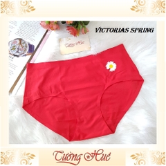 Quần lót nữ Victorias Spring su đúc hoa cúc MÀU NGẪU NHIÊN.