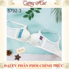 Áo lót nữ Đài Loan Iway 5792-3 Áo lót mút mỏng có gọng phối ren lưng bản to 3 móc cài.