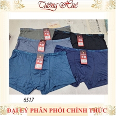QUẦN LÓT NAM DẠNG ĐÙI 6517 THOÁNG MÁT CO GIÃN CỰC ÊM