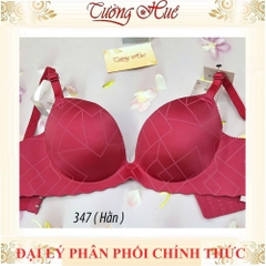 Áo lót nữ Ellen Mood 347 đúc su không gọng.