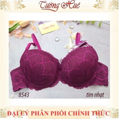 Áo lót nữ annie 8543 Phối Ren Mút Vừa.