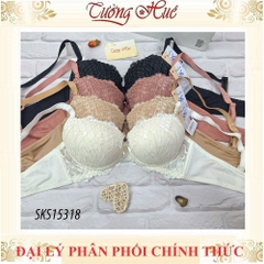 Áo lót nữ Darlin SKS 15318 áo ngực mút dầy nâng ren.