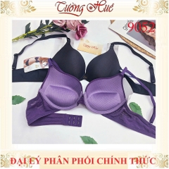 Áo Lót Nữ Đài Loan Aseity 9052 Trơn Có Gọng Mút Đệm 2.5cm Bản Lưng Vừa Dây Bản Liền 2 Móc Cài