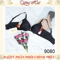 Áo Lót Nữ Đài Loan Aseity Có Gọng Mút Dày Nâng 3.5cm 9080.