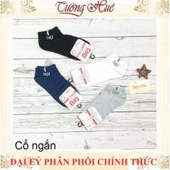 Tất/Vớ Nam Cosy Cổ Thuyền - Cổ Ngắn Màu Basic (chọn màu NN)