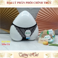 Quần Lót Nữ relax RQY004  Ren Lưới Lưng Thấp Quyến Rũ