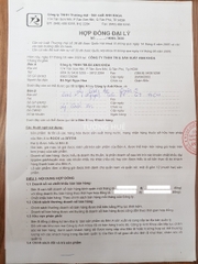 Quần lót nữ annie QEX 2162 phối ren.