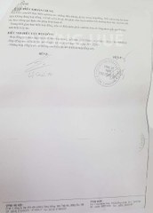 Áo lót nữ Bon Bon BV35128 áo ngực mút mỏng vừa.