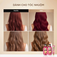 Dầu Xả Tóc Pantene Miracles Cho Tóc Nhuộm 440g