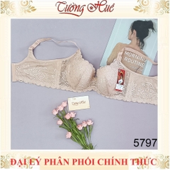 Áo Lót Nữ Đài Loan Aseity 5797 Có Gọng Bảng Lưng To Phối Ren Mút Siêu Mỏng Cúp C và D