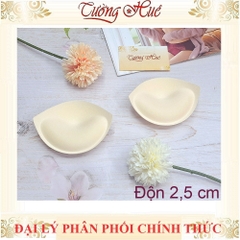1 Cặp Mút Độn Ngực Rời Áo Lót Đệm Nâng 2,5cm Form Đàn Hồi.