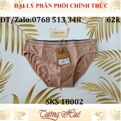 Quần lót nam Darlin SKS 18002 quần tam giác cotton trơn.