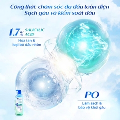 Dầu Gội HEAD & SHOULDERS 72 GIỜ Kiềm Dầu/ Giảm Ngứa Da Đầu Và Làm Sạch Gàu - 460ml