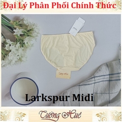 Quần lót nữ Triumph Simply Style Larkspur Midi thun lạnh phối ren, lưng vừa.