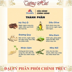 Gội Nhuộm Thảo Dược Hamifa A Washing Brown Shampoo 3 in 1 - 150ml (có bán lẻ gói)