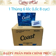 Thùng Xà Phòng Cục Coast Classic Scent 8 Bars (6 Lốc, Lốc 8 Cục, Cục 113g)