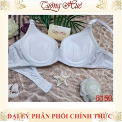 Áo Lót Nữ annie 8153 Trơn Có gọng Mút Đệm 3.5cm Dây Điều Chỉnh Nhỏ bản Lưng Vừa 2 Móc Cài