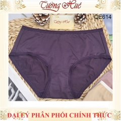 Combo 5 Quần Lót Nữ Trơn Cao Cấp Escanté QE614 Co Dãn Kháng Khuẩn Nhiều Màu