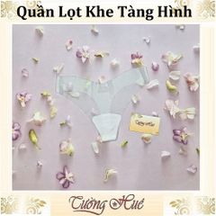 Quần Lót Nữ Lụa Trơn Lọt Khe Tàng Hình.