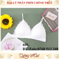 Áo bra 2 dây ren cúp tam giác nhiều màu lựa chọn.