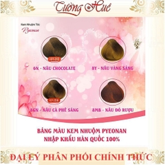 Kem nhuộm phủ bạc Pyeonan - 120ml