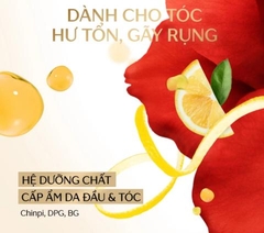 Dầu Gội Và Xả Phục Hồi Tóc Hư Tổn & Ngăn Gãy Rụng Tsubaki Premium Ex Hair Fall Care & Repair - 450ml (Có Lựa Chọn)