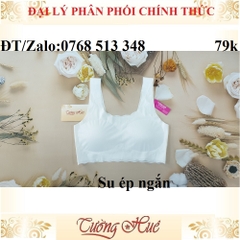 Áo lá su ép trơn không đường may áo lá học sinh.