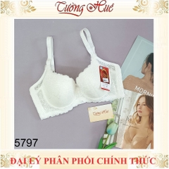 Áo Lót Nữ Đài Loan Aseity 5797 Có Gọng Bảng Lưng To Phối Ren Mút Siêu Mỏng Cúp C và D