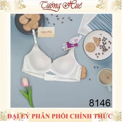 Áo lót nữ annie Bra 8146 ren nâng ngực mút mỏng.