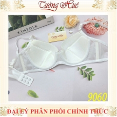 Áo Lót Nữ Aseity 9060 Có gọng Mút Mỏng Bản Lưng Vừa Dây Điều Chỉnh Tháo Rời 2 Móc Cài