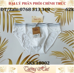 Quần lót nam Darlin SKS 18002 quần tam giác cotton trơn.