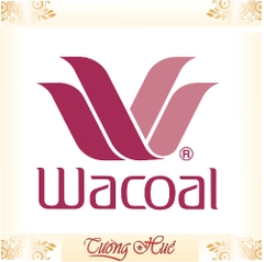SALE SALE SALE - Áo lót nữ Wacoal WB 3268 áo ngực họa tiết hoa xẻ V sâu.
