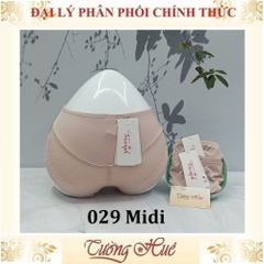 Quần lót nữ Triumph Shape Sensation 029 Midi Thun Lạnh Trơn Phối Ren Lưới Lưng Vừa.